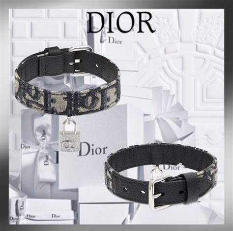 doggy dior|expensive dog collar.